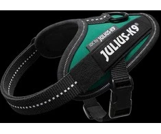 Julius-K9 IDC Pakabinamas diržas Tamsiai žalias – Premium reguliuojamas diržas, ilgaamžiškas dizainas, 4 dydis