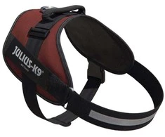 Julius-K9 IDC Powerharness Bordo-Ruda – Premium reguliuojama šunų pavadėlė, bordo, 3 dydis