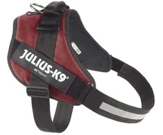 Julius-K9 IDC Powerharness Bordo-Ruda – Premium reguliuojama šunų pavadėlė, bordo, 3 dydis