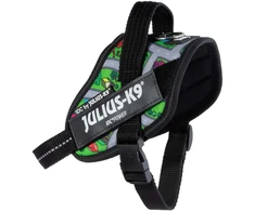 Julius-K9 IDC Powerharness Daycare – Atspindintis šunų pavadėlis, spalvotas miesto raštas, 1 dydis