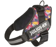 Julius-K9 IDC Powerharness Leaf2 – Auksinio rašto pakinktai, ilgaamžiškumas ir patogus dizainas