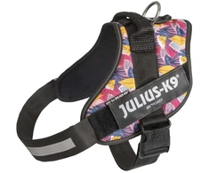 Julius-K9 IDC Powerharness Leaf2 – Auksinio rašto pakinktai, ilgaamžiškumas ir patogus dizainas