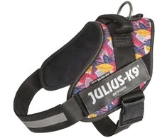 Julius-K9 IDC Powerharness Leaf2 – Auksinio rašto pakinktai, ilgaamžiškumas ir patogus dizainas