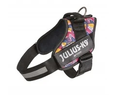 Julius-K9 IDC Powerharness Leaf2 – Auksinio rašto pakinktai, ilgaamžiškumas ir patogus dizainas