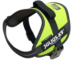 Julius-K9 IDC Powerharness Lime – aukščiausios kokybės reguliuojamas diržas, ryškios lime spalvos, 3 dydis