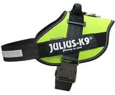 Julius-K9 IDC Powerharness Lime – aukščiausios kokybės reguliuojamas diržas, ryškios lime spalvos, 3 dydis