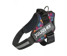 Julius-K9 IDC Powerharness Mixed Hearts – Aukštos kokybės reguliuojamas diržas, spalvingas dizainas, 2 dydis (kūdikiui)