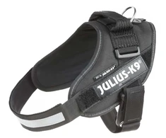 Julius-K9 IDC Powerharness – Reguliuojamos šunų petnešėlės su saugos užraktu, 0 dydžio