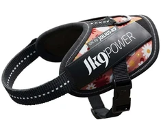 „Julius-K9” IDC Powerharness Rožinė Flowers – Aukščiausios kokybės diržas su gėlių raštu, 2 dydis