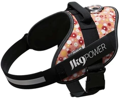 „Julius-K9” IDC Powerharness Rožinė Flowers – Aukščiausios kokybės diržas su gėlių raštu, 2 dydis