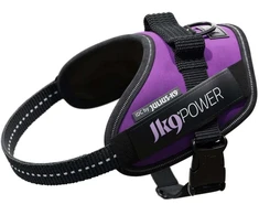 Julius-K9 IDC Powerharness tamsiai violetinė – Premium reguliuojamas šunų pakinktas, 1 dydžio (Baby 1)