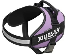 Julius-K9 IDC Powerharness Violetinė – Aukščiausios kokybės reguliuojamas diržas, 3 dydžio, patvarus dizainas