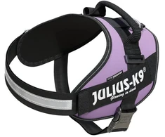 Julius-K9 IDC Powerharness Violetinė – Aukščiausios kokybės reguliuojamas diržas, 3 dydžio, patvarus dizainas