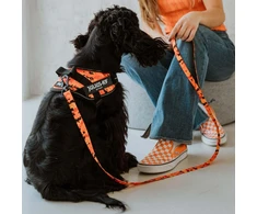 Julius-K9 MoreColor Pixeljuice Pavada 120cm – Neopreno Rankena, Oranžinė Pixel Juosta, Patvarus Dizainas