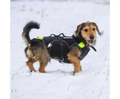Julius-K9 Neono Daugiafunkcinė Liemenė – Lengvas Plaukimo ir Reabilitacijos Palaikymas, Dydis S