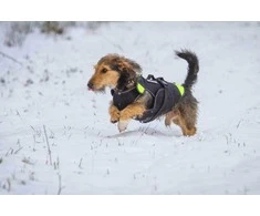 Julius-K9 Neono Daugiafunkcinė Liemenė – Lengvas Plaukimo ir Reabilitacijos Palaikymas, Dydis S