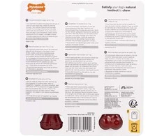 Nylabone Power Chew Basted Blast Bone XS – Kietas Dvigubo Skonio Šoninės ir Kepsninės Kramtomųjų Žaislų Rinkinys, 2 vnt.
