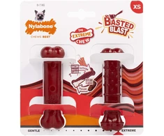 Nylabone Power Chew Basted Blast Bone XS – Kietas Dvigubo Skonio Šoninės ir Kepsninės Kramtomųjų Žaislų Rinkinys, 2 vnt.