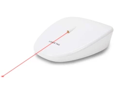 Petsafe lazerinis Tail Light
