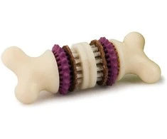 PetSafe Busy Buddy Bristle Bone kramtomasis žaislas – maži, dantų valymo dizaino su skanėstu