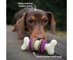 PetSafe Busy Buddy Bristle Bone kramtomasis žaislas – maži, dantų valymo dizaino su skanėstu