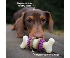 PetSafe Busy Buddy Bristle Bone kramtomasis žaislas – maži, dantų valymo dizaino su skanėstu