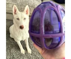 PetSafe Busy Buddy Kibble Nibble skanėstų žaisliukas – mažas, kiaušinio formos, patvarus dozatorius