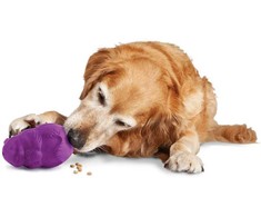 PetSafe Busy Buddy Squirrel Dude – Tvirtas šunų smaguris kramtomasis žaislas, mažas dydis, įtraukiantis dizainas