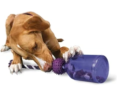 PetSafe Busy Buddy Tug-A-Jug interaktyvus buteliuko formos žaislas – itin mažas, patvarus