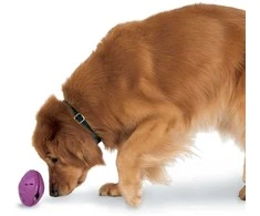 „PetSafe“ Busy Buddy Twist'n Treat šunų kramtomasis žaislas – didelis, reguliuojamas skanėstų dozatorius, patvarus dizainas