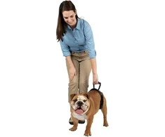 PetSafe CareLift galinė atraminė petneša – vidutinio dydžio, ergonomiškas klubų reabilitacijos dizainas