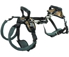 PetSafe CareLift atrampas atbalsta – vidēja izmēra, ergonomisks pacelšanas palīglīdzeklis lielām šķirnēm