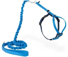 PetSafe Easy Walk katės diržas – Karališkai mėlynas bungee diržas ir pavadėlis, mažas dydis