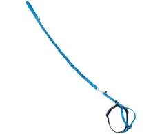 PetSafe Easy Walk katės diržas – Karališkai mėlynas bungee diržas ir pavadėlis, mažas dydis