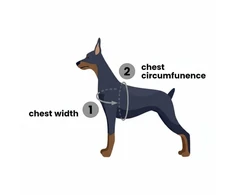 PetSafe Easy Walk pavadėlio ir diržų rinkinys – reguliuojamas juodas, mažas, patogus prigludimas