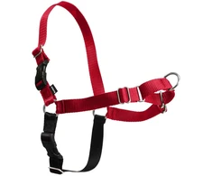 PetSafe Easy Walk dirželių ir pavadėlio komplektas – raudonas, XL, reguliuojamas, patogus dizainas