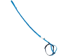 PetSafe Easy Walk katės diržas – Karališkai mėlynas bungee diržas ir pavadėlis, mažas dydis