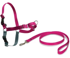PetSafe Easy Walk pavadėlio ir antkaklio rinkinys – avietiškai rožinis, didelis, patogus dizainas be traukimo