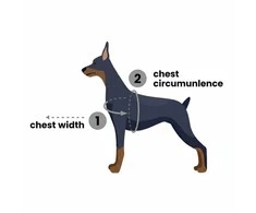 PetSafe Easy Walk pavadėlio ir antkaklio rinkinys – avietiškai rožinis, didelis, patogus dizainas be traukimo