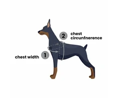 PetSafe Easy Walk dirželių ir pavadėlio komplektas – raudonas, XL, reguliuojamas, patogus dizainas