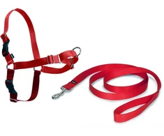PetSafe Easy Walk dirželių ir pavadėlio komplektas – raudonas, XL, reguliuojamas, patogus dizainas