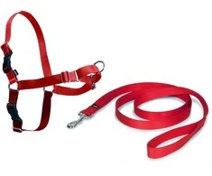 PetSafe Easy Walk dirželių ir pavadėlio komplektas – raudonas, XL, reguliuojamas, patogus dizainas