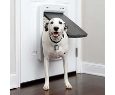 „PetSafe SmartDoor“ prijungiamas raktas – mikroschemų prieigos įrenginys, didelis dydis, saugus įėjimas