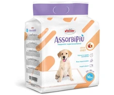 Record AssorbiPiu Fresh Fruits šuniukų paklotėliai 60x90cm – Absorbuojančios dresavimo paklotėlės su vaisių kvapu ir tvirtinimo lipdukais, 10 vnt. pakuotė