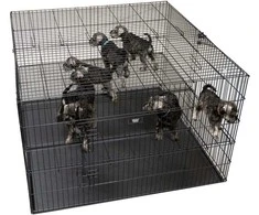 Show Tech didelis šunų maniežas 122x122x81cm – su reguliuojamu dvigubu dugnu, erdgaus ir saugaus dizaino
