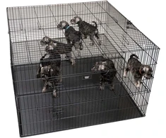Show Tech didelis šunų maniežas 122x122x81cm – su reguliuojamu dvigubu dugnu, erdgaus ir saugaus dizaino