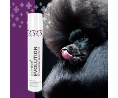Show Tech+ Evolution Styling Purškiklis 500ml – Lightweight Finishing Mist, Long-Lasting Hold and Shine