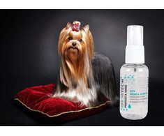 Show Tech+ Protect &amp; Shine Serum 50ml – Intensely drėkinamoji maitinamoji formulė su terminiu apsauga