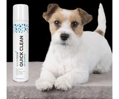 Show Tech+ Sausas Šampūnas Purškalas 200ml – Tekstūros Formulė, Greito Poveikio ir Neš Džiūvimo Efekto