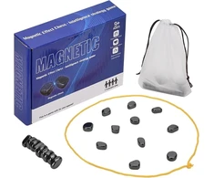 Magnetinis šachmatų žaidimas AbacusSpiele